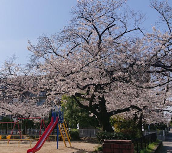 公園　東三公園（公園）まで527m