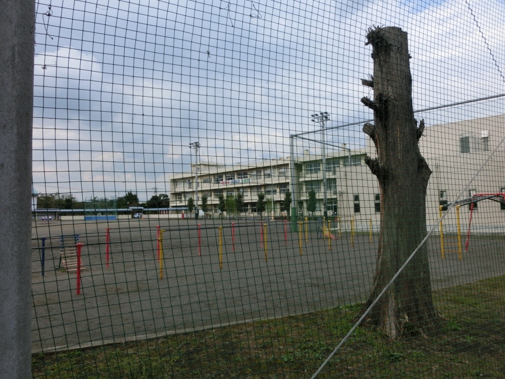 【相模原市南区若松のマンションの小学校】