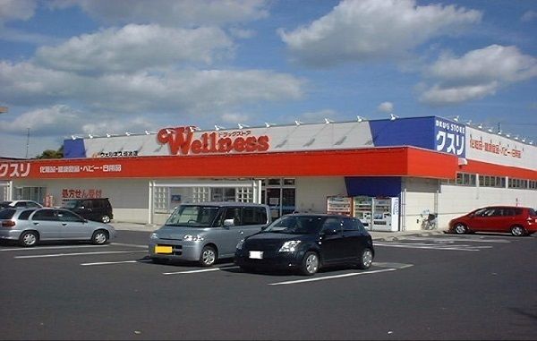 ドラックストア　ウェルネス薬局塩谷店（ドラッグストア）まで600m
