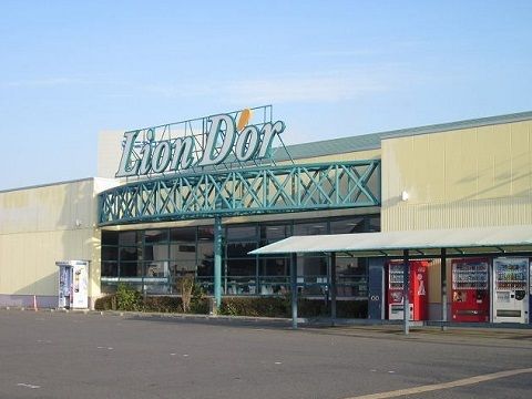 スーパー　リオン・ドール鏡石店（スーパー）まで600m