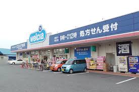 ドラックストア　ウエルシア足立南花畑店（ドラッグストア）まで899m
