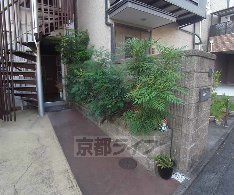 庭