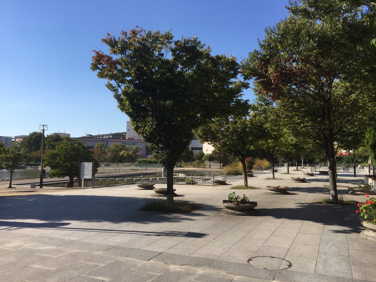 公園　市場池公園（公園）まで828m