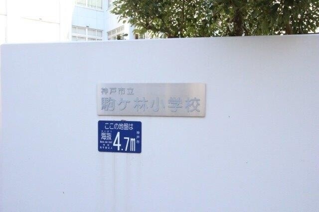 小学校　神戸市立駒ケ林小学校（小学校）まで280m
