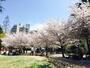 公園　島津公園（公園）まで1650m