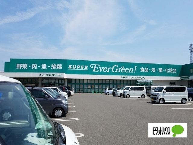 ドラックストア　スーパーエバグリーン福島店（ドラッグストア）まで693m