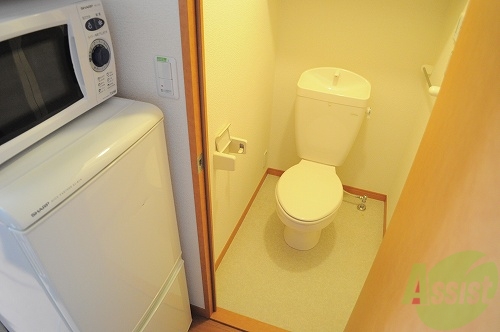その他　セパレートタイプでトイレもゆったりです。