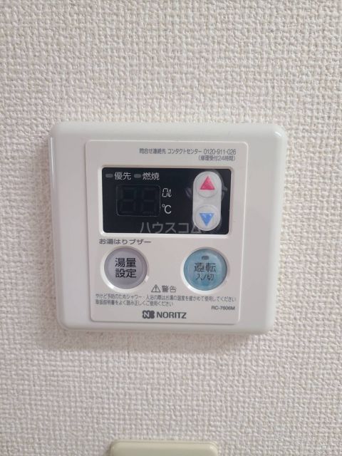 エクセルリリーのその他写真