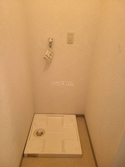 エクセルリリーのその他写真