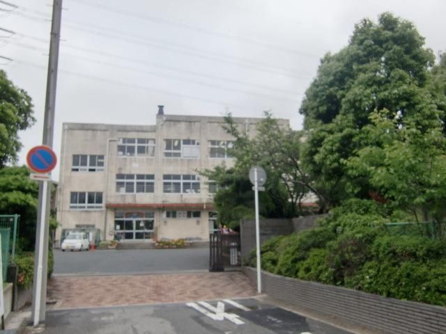 小学校　南新浜小学校（小学校）まで725m