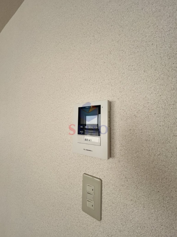 アスターIIIのその他写真