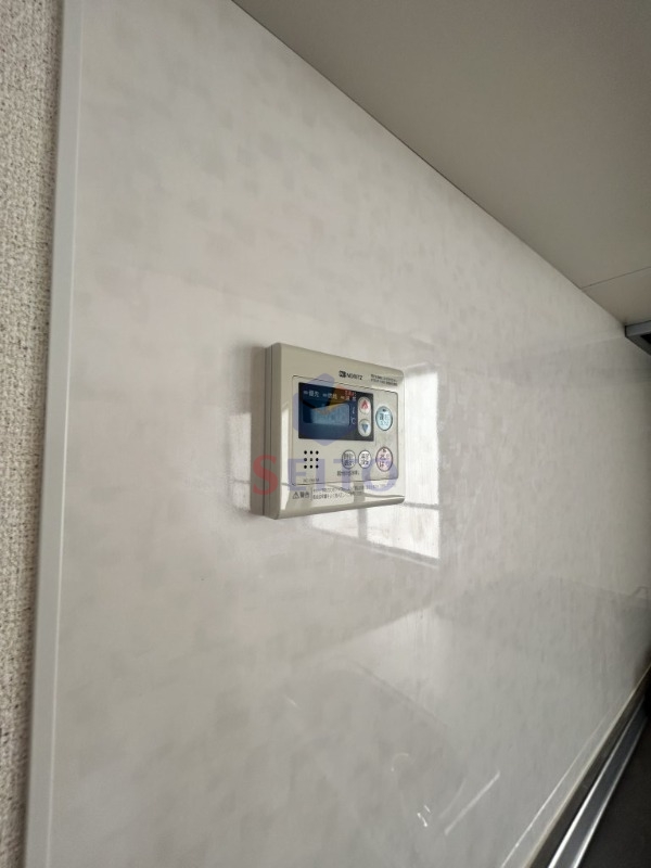 アスターIIIのその他写真