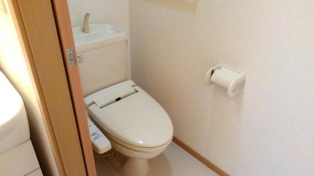 東武伊勢崎線 羽生駅 徒歩13分 2階建 築22年のトイレ写真