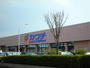 ドラックストア　カワチ薬品吉沢町店（ドラッグストア）まで100m