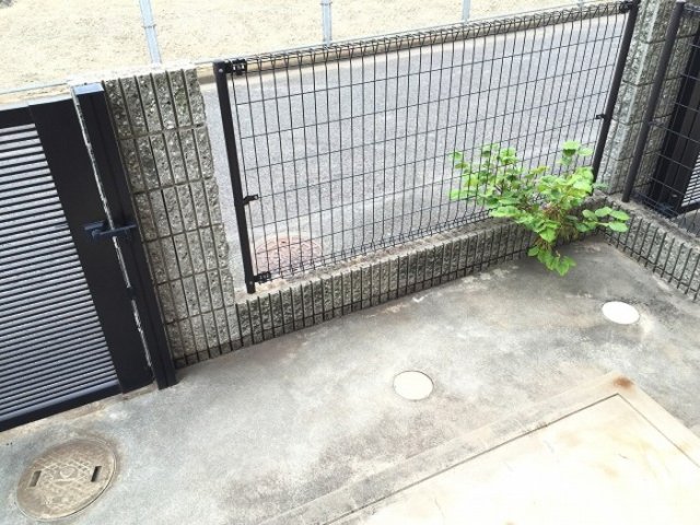 庭