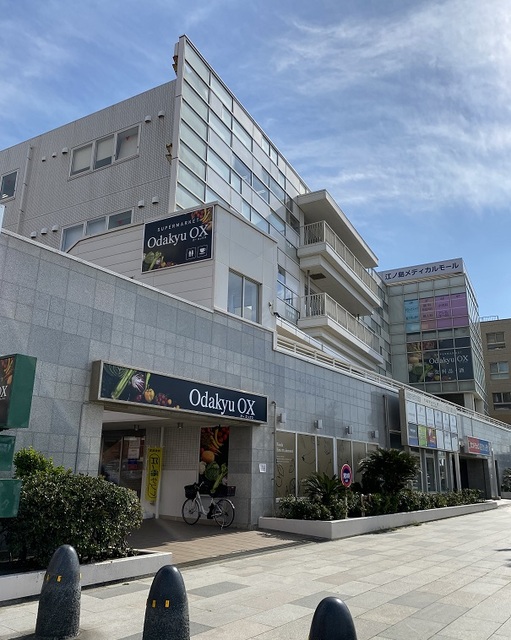 スーパー　OdakyuOX江ノ島店（スーパー）まで728m