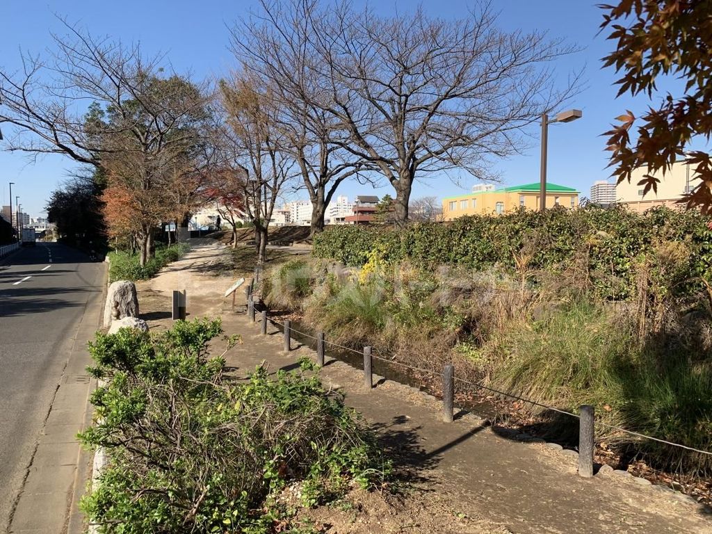 公園　亀戸九丁目緑道公園（公園）まで1140m