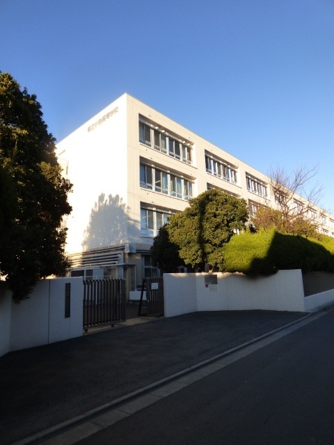 高校・高専　東京都立小岩高校（高校・高専）まで544m