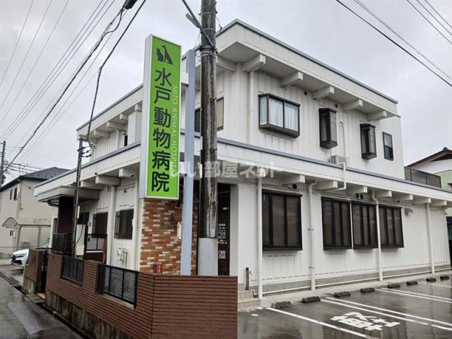 病院　水戸動物病院（病院）まで1448m