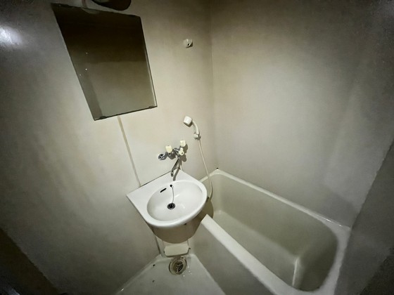 バス・シャワールーム　※別号室のお写真になります。