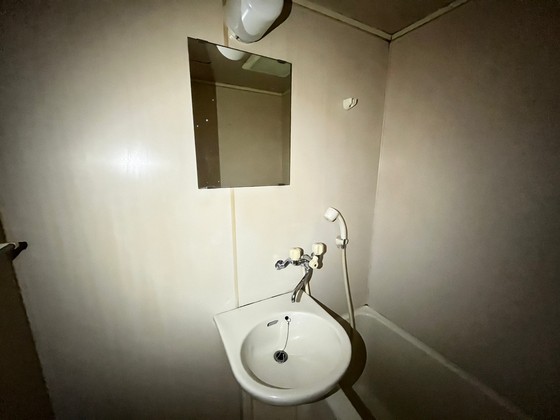 洗面設備　※別号室のお写真になります。