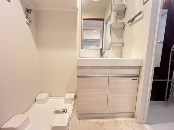 洗面設備　※別部屋の写真です