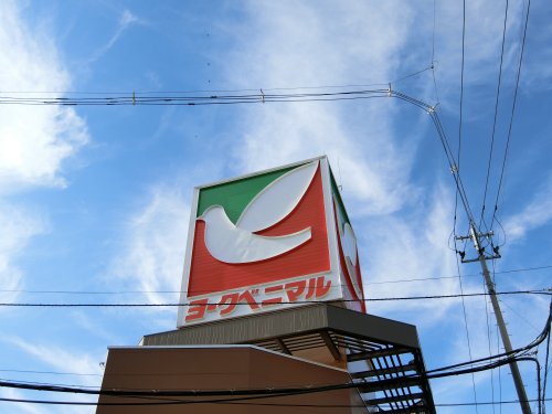 スーパー　ヨークベニマル築館店（スーパー）まで1012m