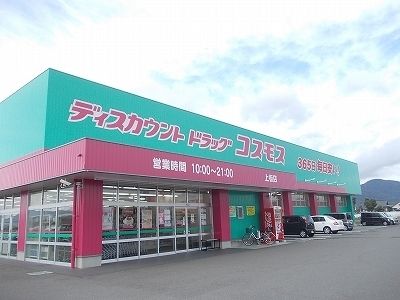ドラックストア　コスモス上板店様（ドラッグストア）まで600m