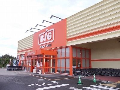 スーパー　ザ・ビッグ上板店様（スーパー）まで1100m