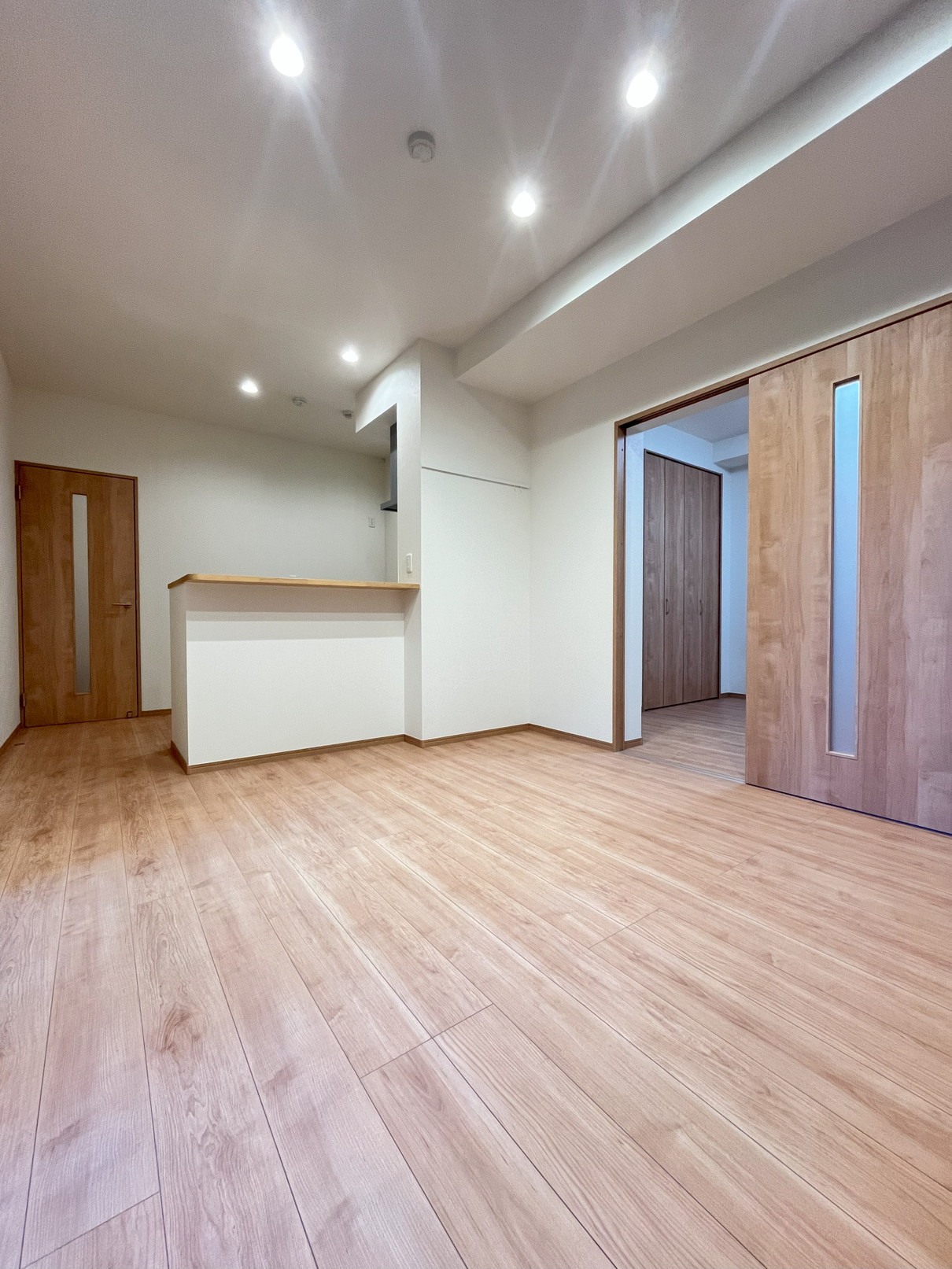 居室・リビング　室内照明はダウンライト明るさ調整付き