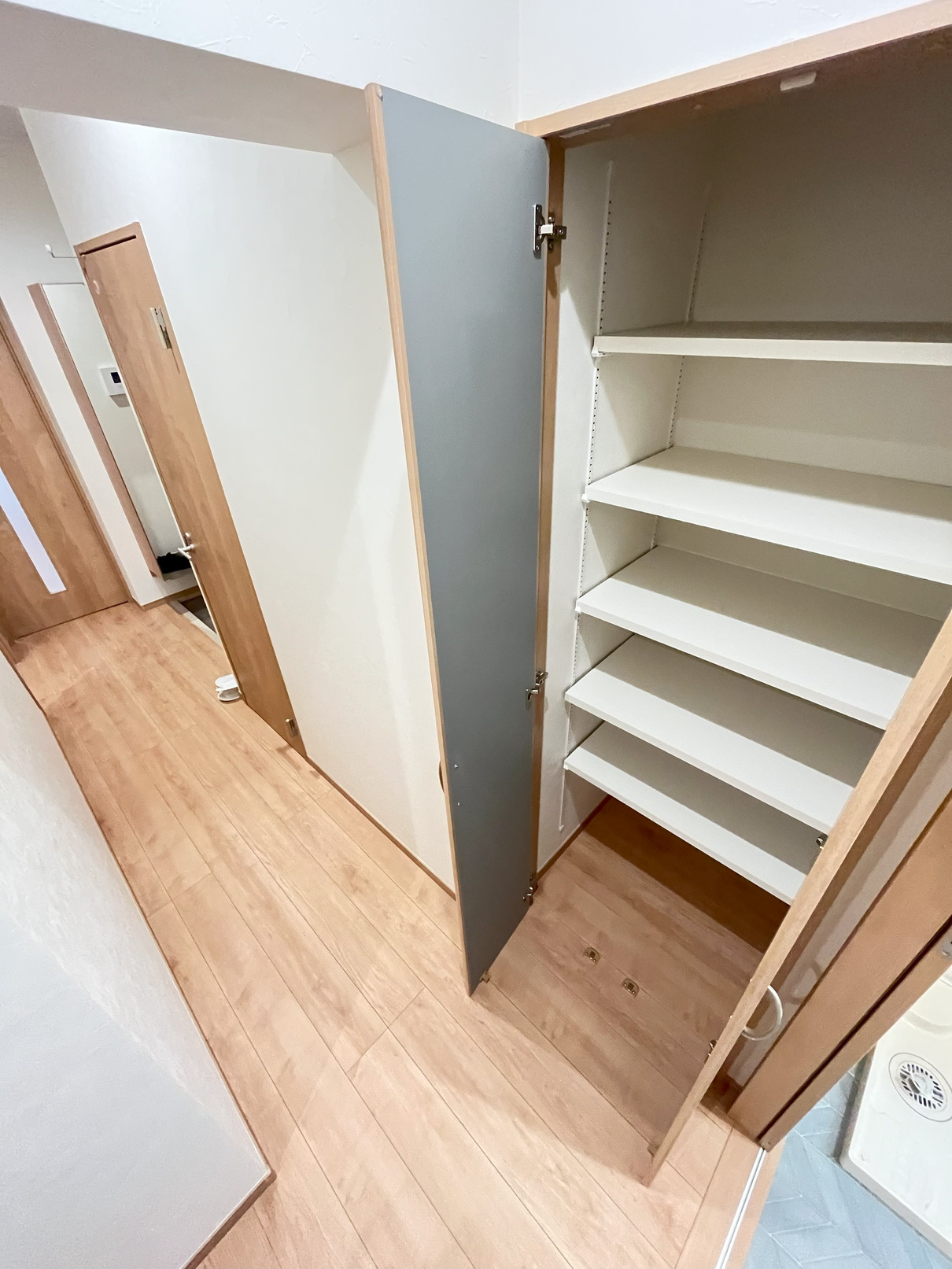 その他共有部分　洗面手前の収納