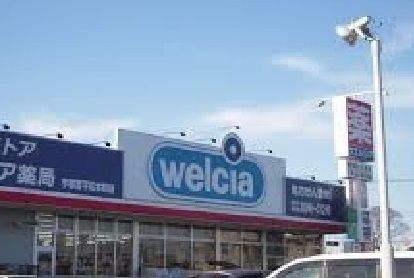 ドラックストア　ウエルシア薬局（ドラッグストア）まで600m