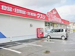 ドラックストア　ドラッグストアウェルネス古志原店（ドラッグストア）まで684m