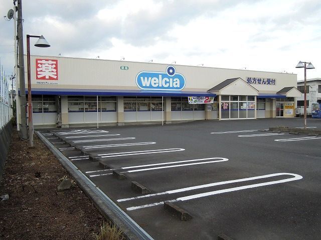 ドラックストア　ウエルシア清水庵原店（ドラッグストア）まで1100m
