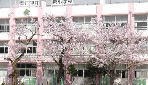 小学校　石神井東小学校（小学校）まで544m