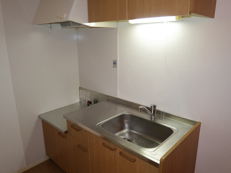 キッチン　110号室の写真です