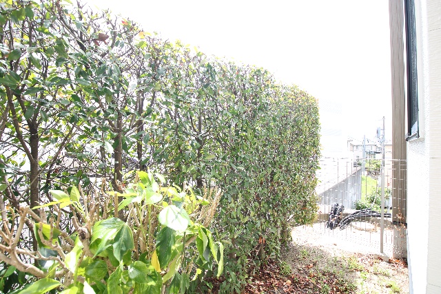 眺望　※別室の参考写真の為、現況優先です。