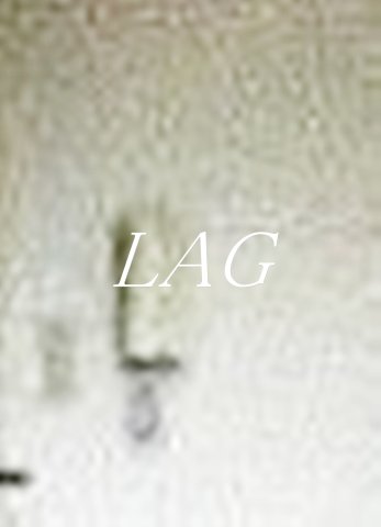 セキュリティ　インターフォンです。