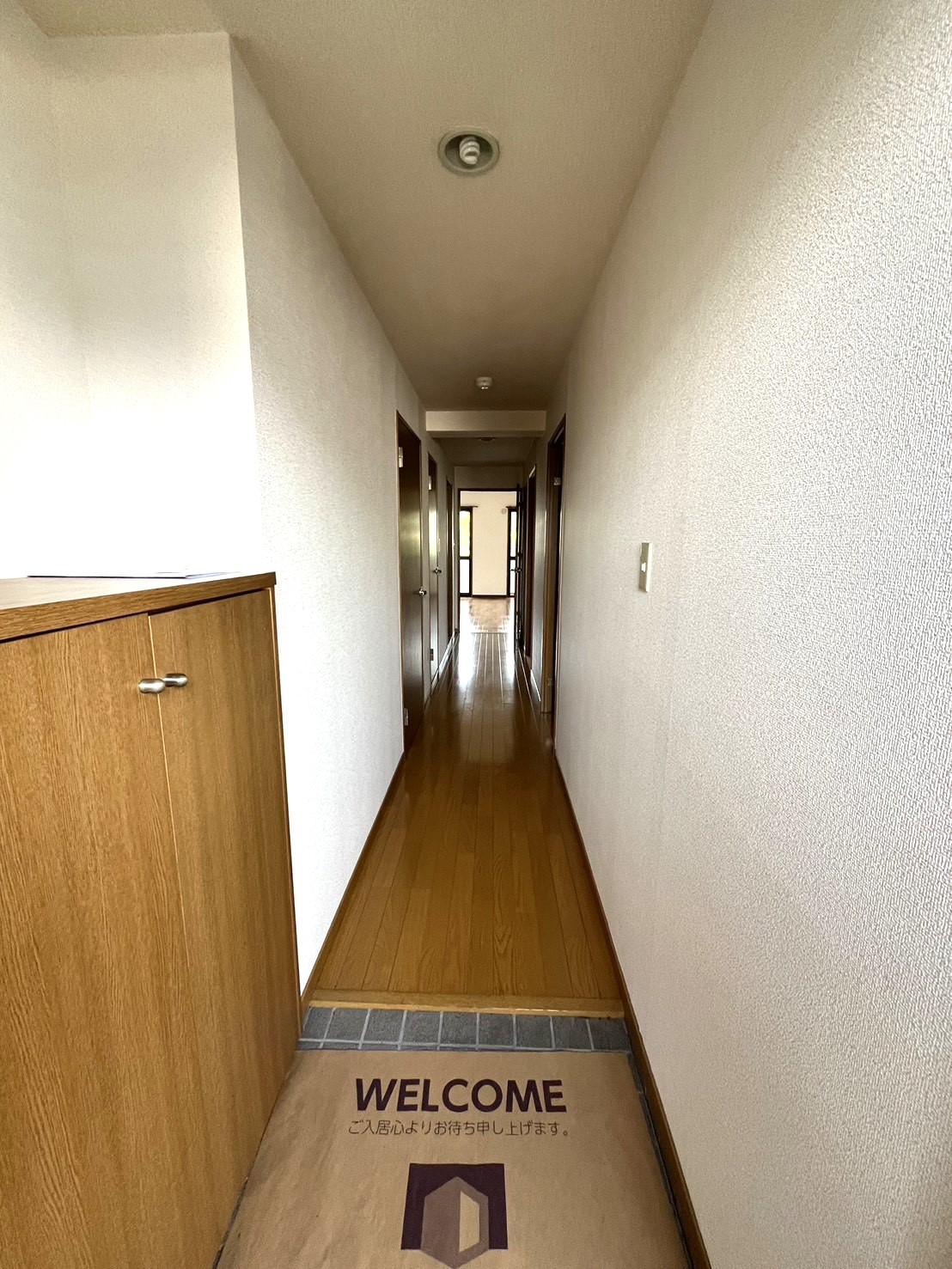 玄関　シューズボックスあります