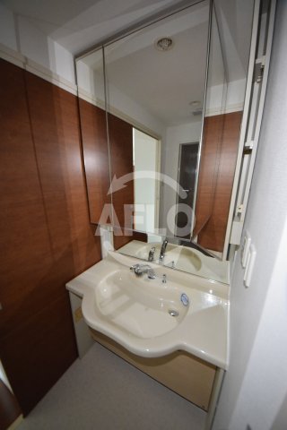 洗面設備　ロイヤルパークス桃坂　独立洗面台