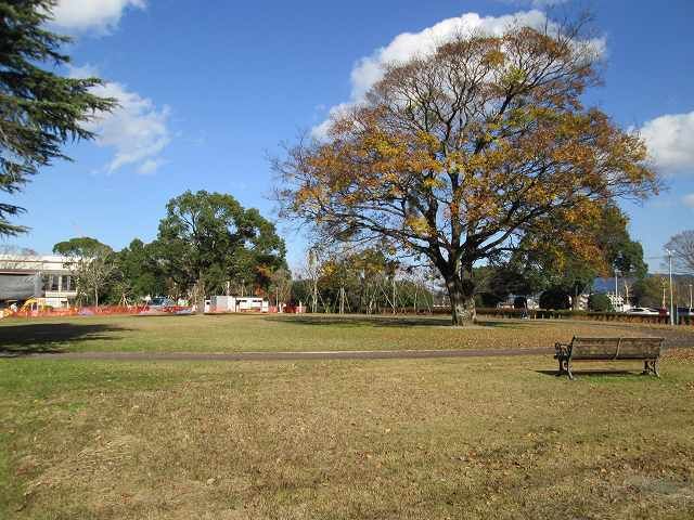 公園　早水公園（公園）まで400m