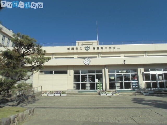 中学校　新潟市立鳥屋野中学校（中学校）まで696m