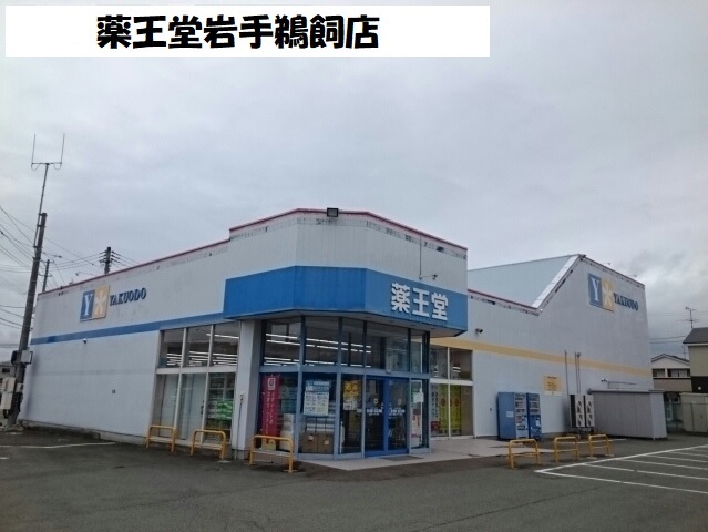 ドラックストア　薬王堂岩手鵜飼店（ドラッグストア）まで350m
