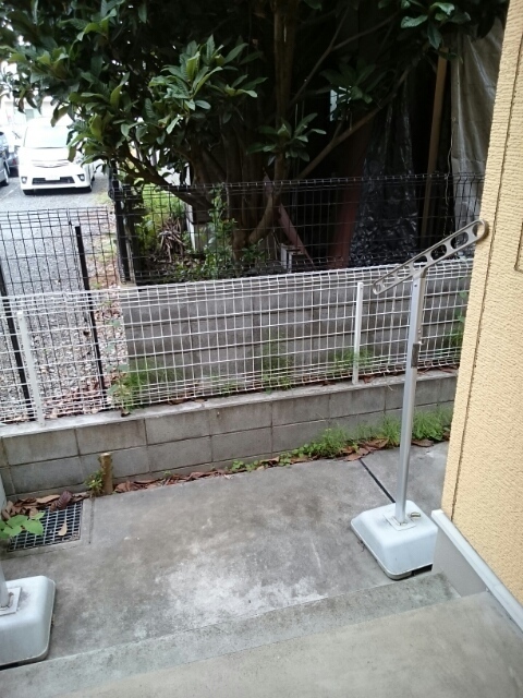 庭