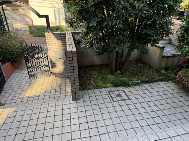 庭