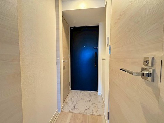 玄関　※別部屋の写真です