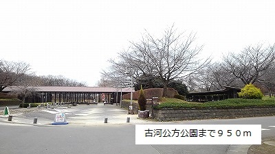 公園　古河公方公園（公園）まで950m
