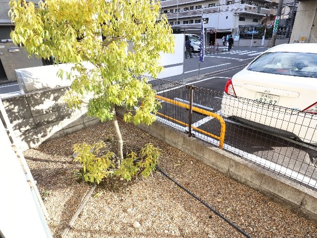 庭