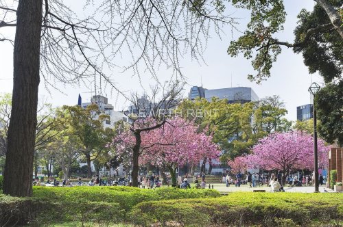 公園　横浜公園（公園）まで574m