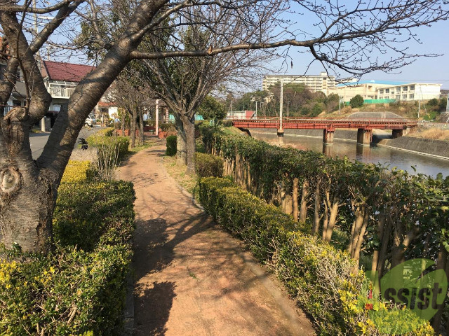 公園　瀬戸川緑地（公園）まで2218m